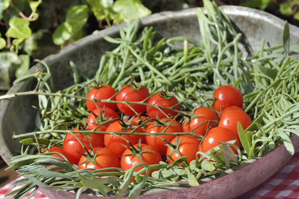 Gastronomy Hotel Kritsa Portariá Zewnętrze zdjęcie